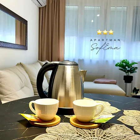 Apartamento Sofema Pirot