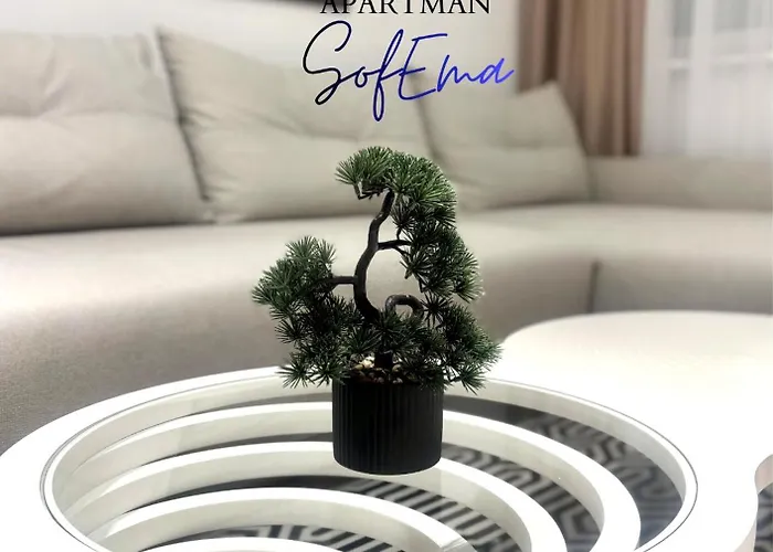 Sofema Apartamento Pirot